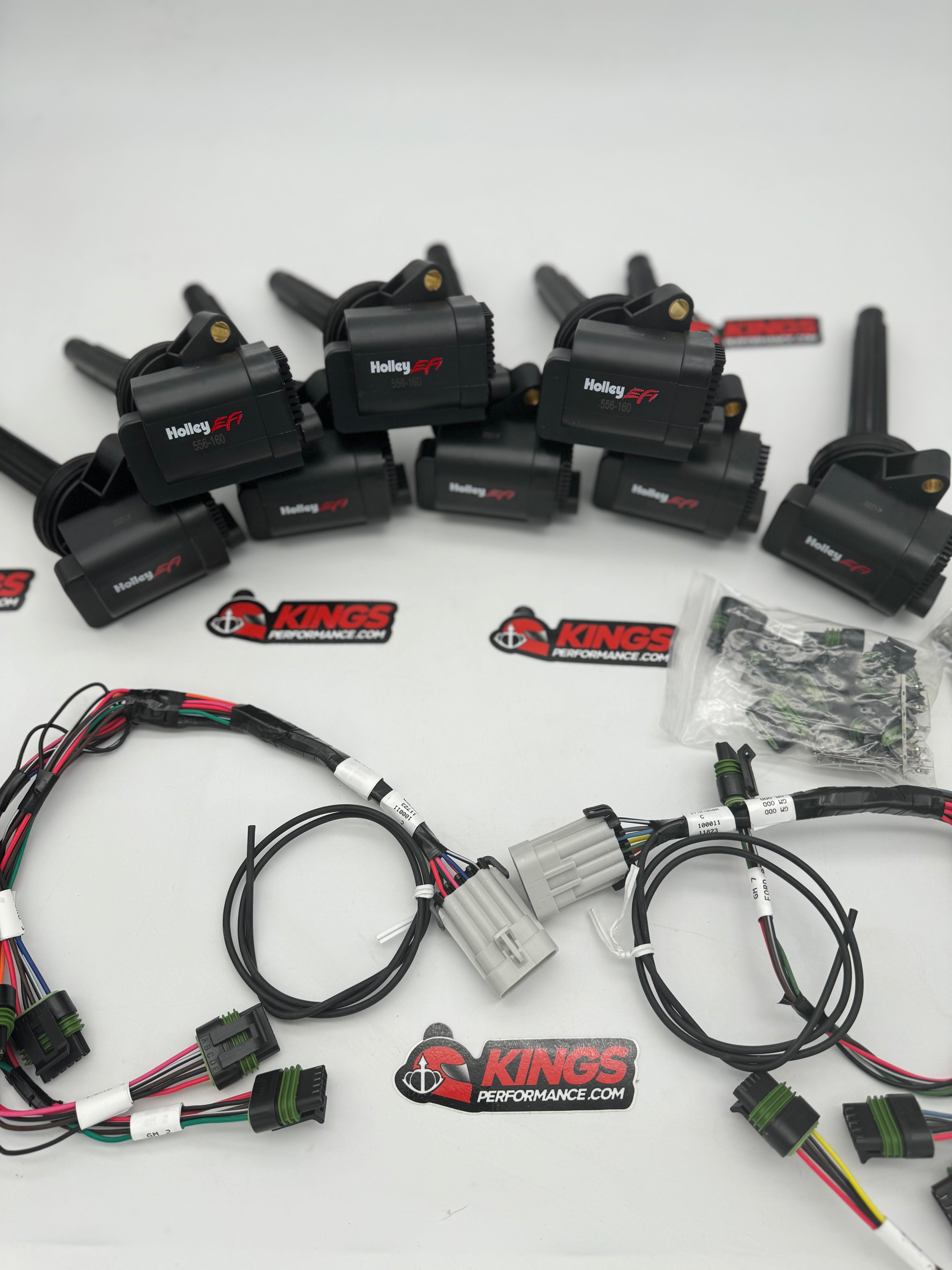 HOLLEY EFI COYOTE SMART COIS & PNP COIL HARNESS  (556-161)