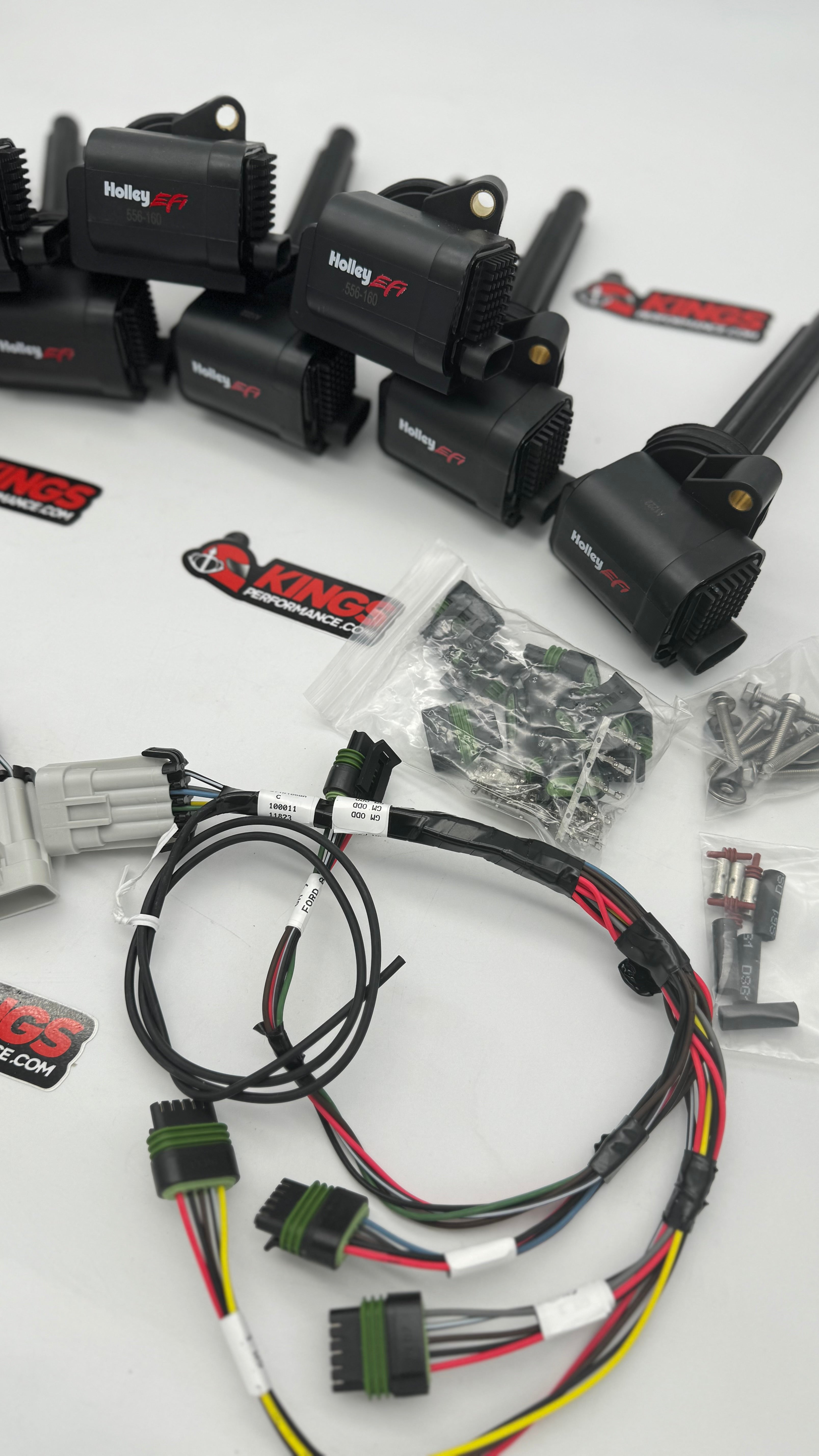 HOLLEY EFI COYOTE SMART COIS & PNP COIL HARNESS  (556-161)