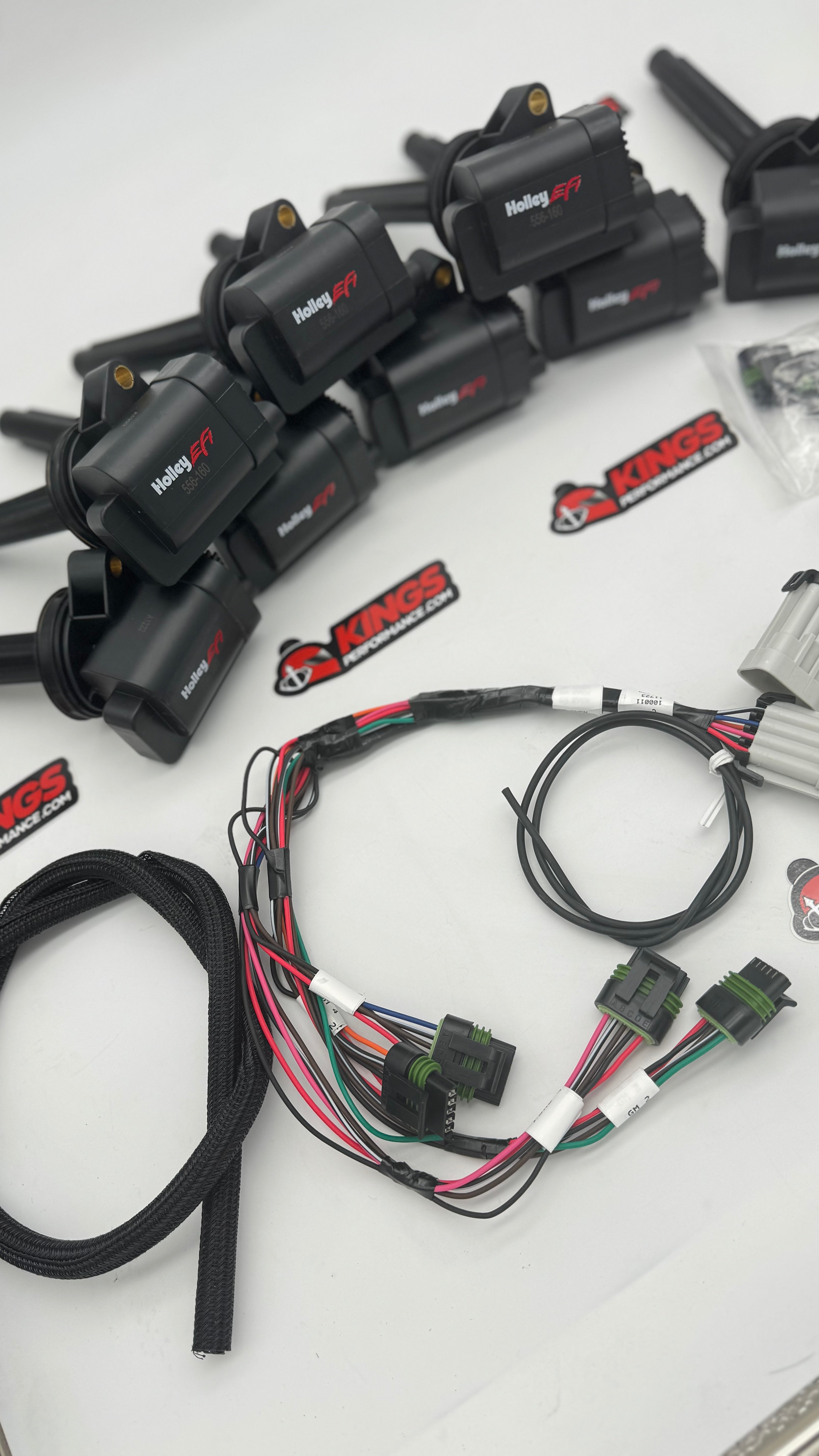 HOLLEY EFI COYOTE SMART COIS & PNP COIL HARNESS  (556-161)