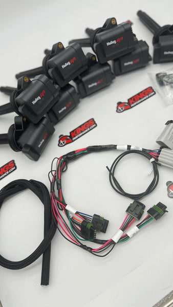 HOLLEY EFI COYOTE SMART COIS & PNP COIL HARNESS  (556-161)