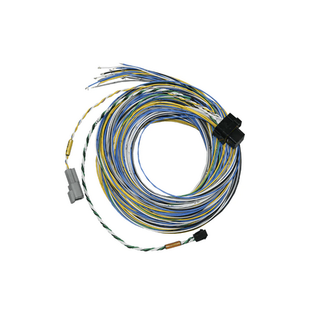 FuelTech FT550 Unterminated Harness - A & B
