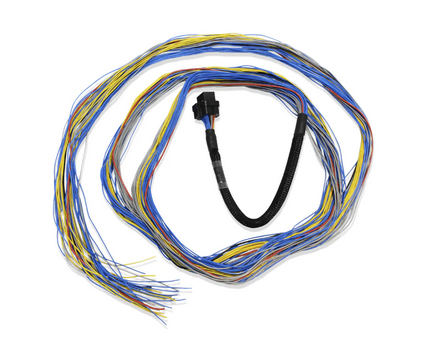 FuelTech FT600 Unterminated Harness