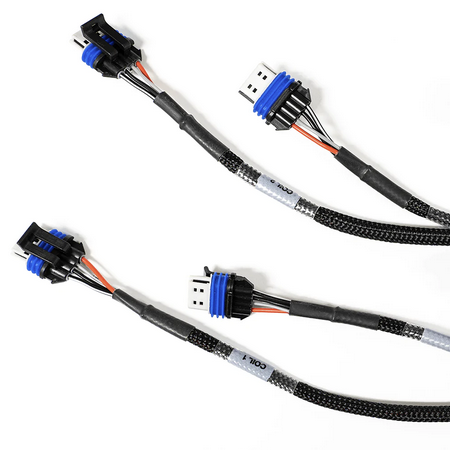 FuelTech LS550 V8 Complete Harness