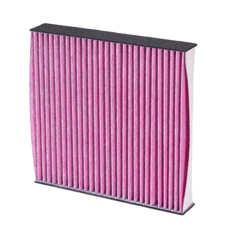 Photo - Primary
