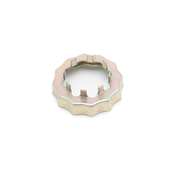 Photo - Primary
