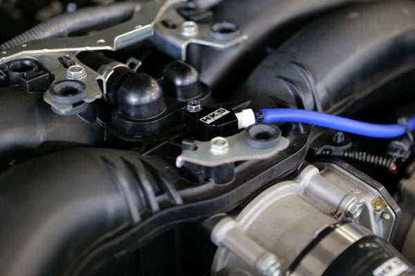Photo - Close Up